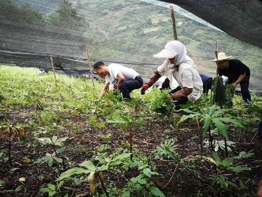 &#112;&#112;&#30005;&#23376;&#40;&#20013;&#22269;&#28216;&#41;&#23448;&#26041;&#22312;&#32447;&#24179;&#21488;