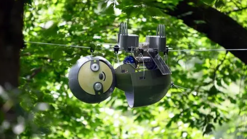 &#112;&#112;&#30005;&#23376;&#40;&#20013;&#22269;&#28216;&#41;&#23448;&#26041;&#22312;&#32447;&#24179;&#21488;